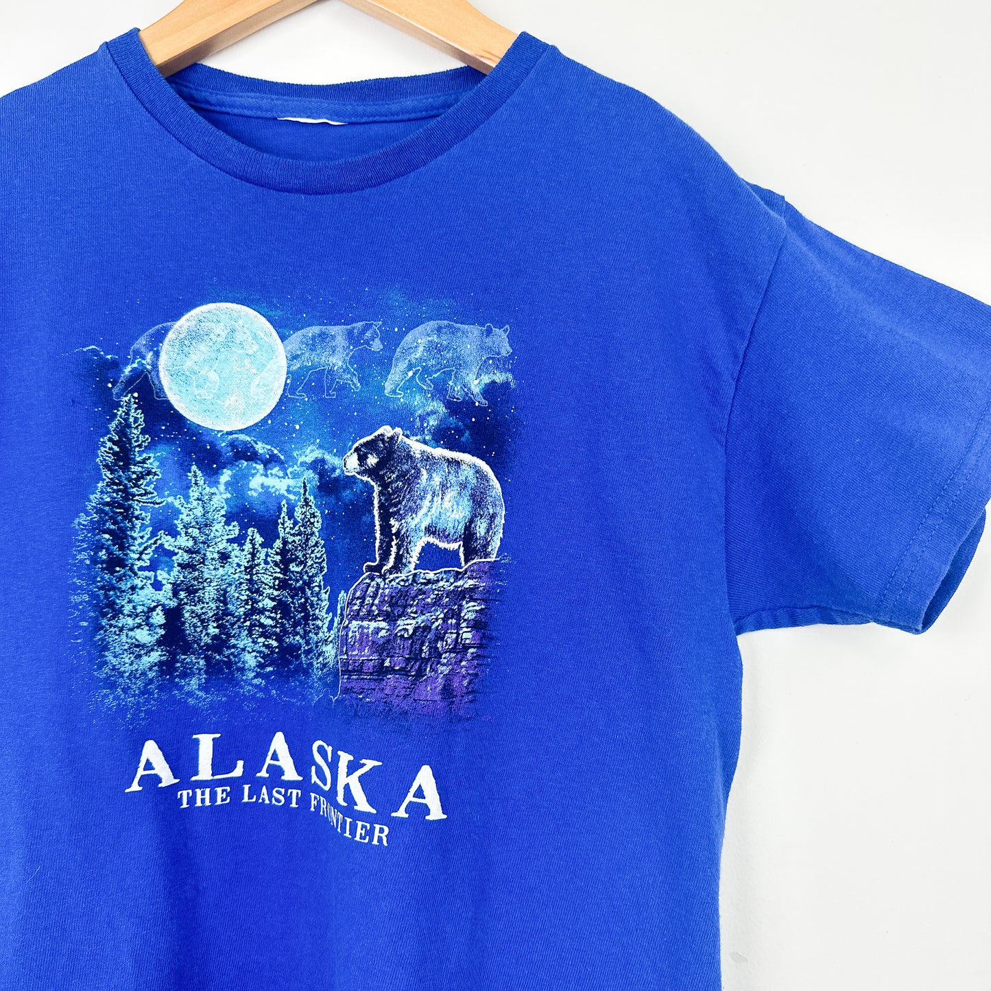 Vintage Alaska Blue Tourist Tee - 10-12yr